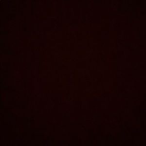 Meet your Posher, Ray